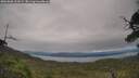 ./images/calvert/fitz-hugh-hecate/20250808/fitz-hugh-hecate20250808_161009M.jpg