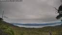 ./images/calvert/fitz-hugh-hecate/20250808/fitz-hugh-hecate20250808_161510M.jpg
