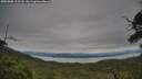 ./images/calvert/fitz-hugh-hecate/20250808/fitz-hugh-hecate20250808_162507M.jpg
