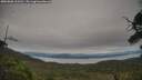 ./images/calvert/fitz-hugh-hecate/20250808/fitz-hugh-hecate20250808_163510M.jpg