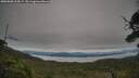 ./images/calvert/fitz-hugh-hecate/20250808/fitz-hugh-hecate20250808_164509M.jpg