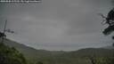 ./images/calvert/fitz-hugh-hecate/20250808/fitz-hugh-hecate20250808_165509M.jpg