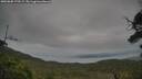 ./images/calvert/fitz-hugh-hecate/20250808/fitz-hugh-hecate20250808_170509M.jpg