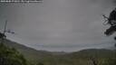 ./images/calvert/fitz-hugh-hecate/20250808/fitz-hugh-hecate20250808_171011M.jpg