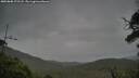 ./images/calvert/fitz-hugh-hecate/20250808/fitz-hugh-hecate20250808_172507M.jpg