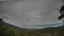 ./images/calvert/fitz-hugh-hecate/20250808/fitz-hugh-hecate20250808_173510M.jpg