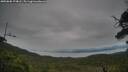 ./images/calvert/fitz-hugh-hecate/20250808/fitz-hugh-hecate20250808_174008M.jpg
