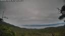 ./images/calvert/fitz-hugh-hecate/20250808/fitz-hugh-hecate20250808_174510M.jpg