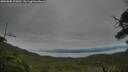 ./images/calvert/fitz-hugh-hecate/20250808/fitz-hugh-hecate20250808_175012M.jpg