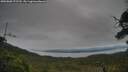 ./images/calvert/fitz-hugh-hecate/20250808/fitz-hugh-hecate20250808_175510M.jpg