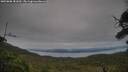 ./images/calvert/fitz-hugh-hecate/20250808/fitz-hugh-hecate20250808_181010M.jpg