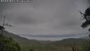 ./images/calvert/fitz-hugh-hecate/20250808/fitz-hugh-hecate20250808_182008M.jpg