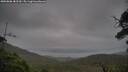 ./images/calvert/fitz-hugh-hecate/20250808/fitz-hugh-hecate20250808_182510M.jpg