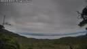 ./images/calvert/fitz-hugh-hecate/20250808/fitz-hugh-hecate20250808_183510M.jpg