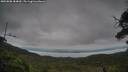 ./images/calvert/fitz-hugh-hecate/20250808/fitz-hugh-hecate20250808_184010M.jpg