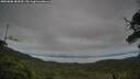 ./images/calvert/fitz-hugh-hecate/20250808/fitz-hugh-hecate20250808_184510M.jpg