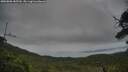 ./images/calvert/fitz-hugh-hecate/20250808/fitz-hugh-hecate20250808_185510M.jpg