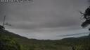 ./images/calvert/fitz-hugh-hecate/20250808/fitz-hugh-hecate20250808_190008M.jpg