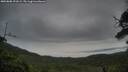 ./images/calvert/fitz-hugh-hecate/20250808/fitz-hugh-hecate20250808_191009M.jpg