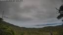 ./images/calvert/fitz-hugh-hecate/20250808/fitz-hugh-hecate20250808_191507M.jpg