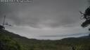 ./images/calvert/fitz-hugh-hecate/20250808/fitz-hugh-hecate20250808_192008M.jpg