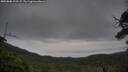 ./images/calvert/fitz-hugh-hecate/20250808/fitz-hugh-hecate20250808_192507M.jpg