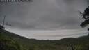 ./images/calvert/fitz-hugh-hecate/20250808/fitz-hugh-hecate20250808_193010M.jpg
