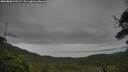 ./images/calvert/fitz-hugh-hecate/20250808/fitz-hugh-hecate20250808_193508M.jpg