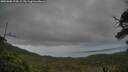 ./images/calvert/fitz-hugh-hecate/20250808/fitz-hugh-hecate20250808_194508M.jpg