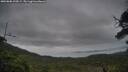 ./images/calvert/fitz-hugh-hecate/20250808/fitz-hugh-hecate20250808_195009M.jpg