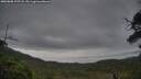 ./images/calvert/fitz-hugh-hecate/20250808/fitz-hugh-hecate20250808_195507M.jpg