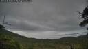 ./images/calvert/fitz-hugh-hecate/20250808/fitz-hugh-hecate20250808_200008M.jpg