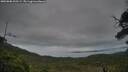 ./images/calvert/fitz-hugh-hecate/20250808/fitz-hugh-hecate20250808_200509M.jpg