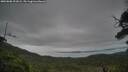 ./images/calvert/fitz-hugh-hecate/20250808/fitz-hugh-hecate20250808_201008M.jpg