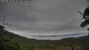 ./images/calvert/fitz-hugh-hecate/20250808/fitz-hugh-hecate20250808_201508M.jpg