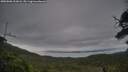 ./images/calvert/fitz-hugh-hecate/20250808/fitz-hugh-hecate20250808_202008M.jpg