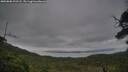 ./images/calvert/fitz-hugh-hecate/20250808/fitz-hugh-hecate20250808_202508M.jpg