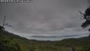 ./images/calvert/fitz-hugh-hecate/20250808/fitz-hugh-hecate20250808_203008M.jpg