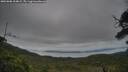 ./images/calvert/fitz-hugh-hecate/20250808/fitz-hugh-hecate20250808_204009M.jpg