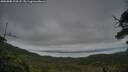 ./images/calvert/fitz-hugh-hecate/20250808/fitz-hugh-hecate20250808_204508M.jpg