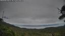 ./images/calvert/fitz-hugh-hecate/20250808/fitz-hugh-hecate20250808_205508M.jpg