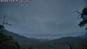 ./images/calvert/fitz-hugh-hecate/20250808/fitz-hugh-hecate20250808_212509M.jpg