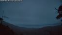 ./images/calvert/fitz-hugh-hecate/20250808/fitz-hugh-hecate20250808_214009M.jpg