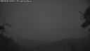 ./images/calvert/fitz-hugh-hecate/20250808/fitz-hugh-hecate20250808_215009M.jpg