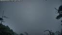 ./images/calvert/fitz-hugh-hecate/20250809/fitz-hugh-hecate20250809_055507M.jpg