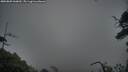 ./images/calvert/fitz-hugh-hecate/20250809/fitz-hugh-hecate20250809_060009M.jpg