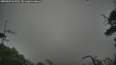 ./images/calvert/fitz-hugh-hecate/20250809/fitz-hugh-hecate20250809_061010M.jpg