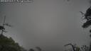 ./images/calvert/fitz-hugh-hecate/20250809/fitz-hugh-hecate20250809_061509M.jpg