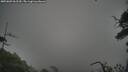 ./images/calvert/fitz-hugh-hecate/20250809/fitz-hugh-hecate20250809_062510M.jpg