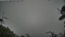 ./images/calvert/fitz-hugh-hecate/20250809/fitz-hugh-hecate20250809_063009M.jpg